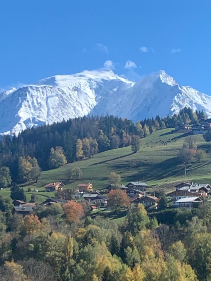 Chalet Mont Blanc Combloux Exterior photo